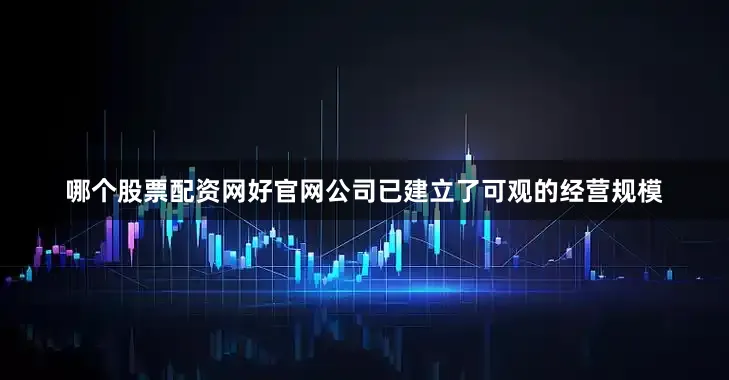 哪个股票配资网好官网公司已建立了可观的经营规模