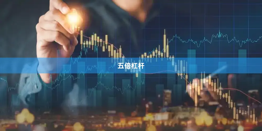 五倍杠杆