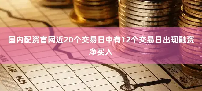 国内配资官网近20个交易日中有12个交易日出现融资净买入